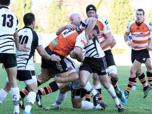 Benetton-Zebre in RaboDirect PRO12 zebre-benetton