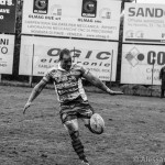 Quindicesima giornata di RaboDirect PRO12