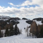 Verso il Col dei Buoi con le ciaspole (o anche senza)