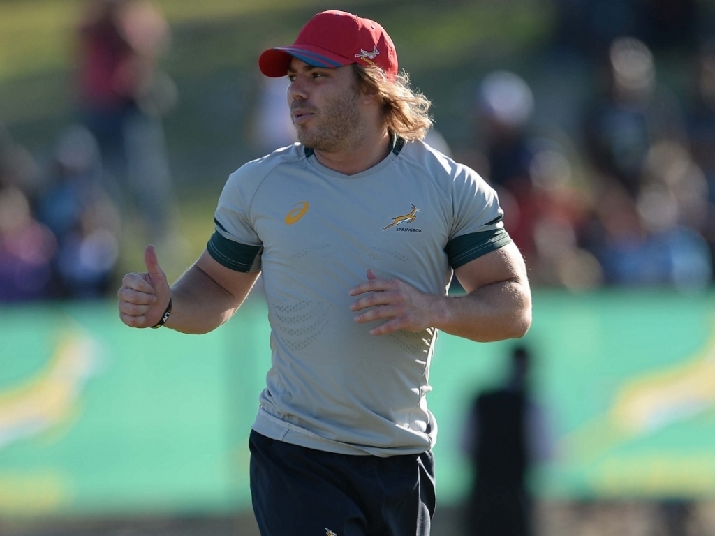 Test Match 2016: l'Irlanda sfida gli Springboks