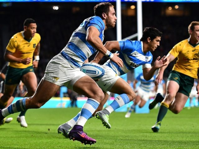 pumas tuculet