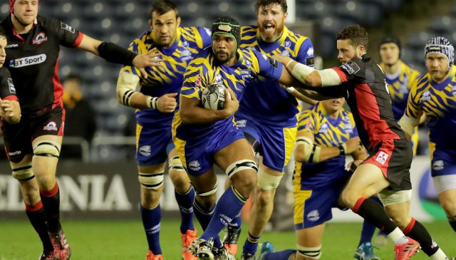 zebre edinburgh murrayfield