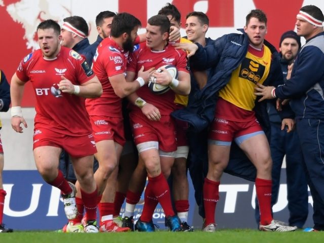 scarlets european champions cup