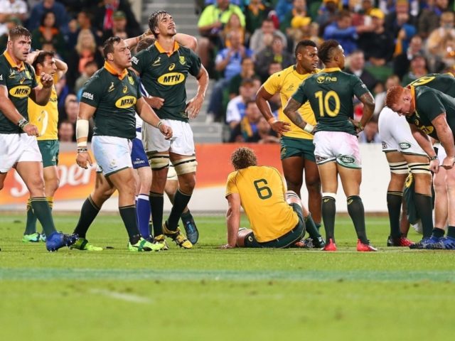 australia-springboks rugby championship 2017