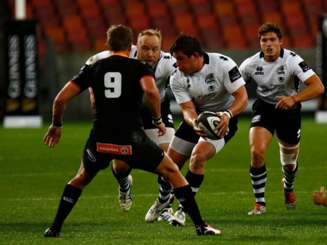zebre guinness pro14
