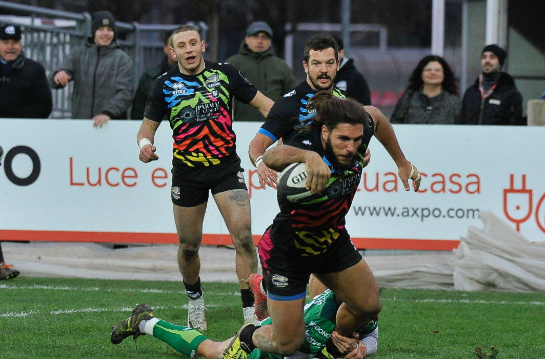 venditti zebre guinness pro14