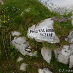 Salita al Passo Valbona in Alpago