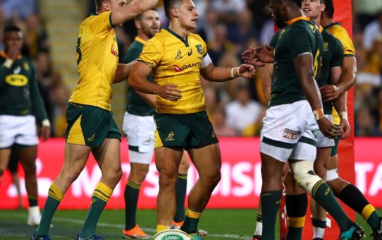 Rugby Championship 2018: l'Australia batte gli Springboks